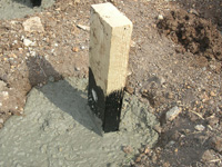 קורה מצופה בזפת קרה