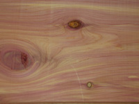 קורת עץ עם עיניים