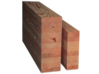 עץ רב שכבתי