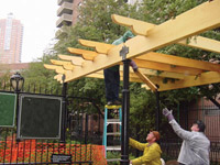 בעלי מקצוע בפעולה